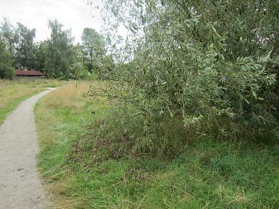 Vandalismus an der Weide