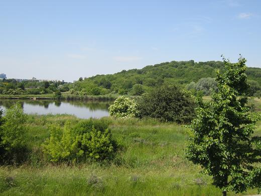 Wuhletal mit Wuhleteich und bewaldeter Kienberg - im Hintergrund links Kleingartenanlage und Plattenbausiedlung - hinterm Kienberg sind die Gärten der Welt