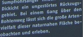 Den Besuchern der Gartenschau is 2013 Hamburg soll Naturnähe weisgemacht werden